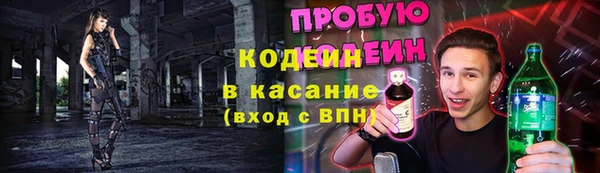 дживик Бронницы