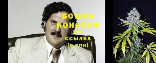 герыч Бородино