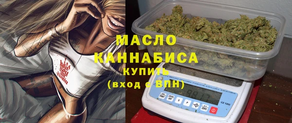 дживик Бронницы