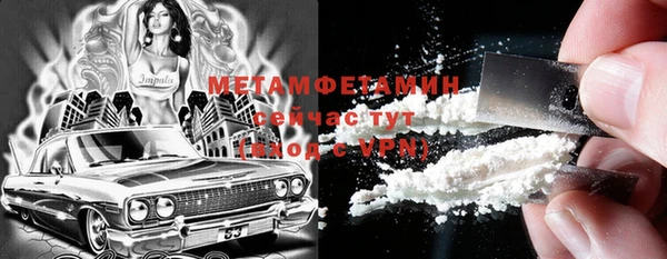 сатива Верея