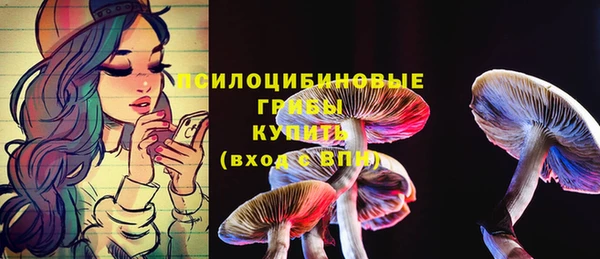 ECSTASY Домодедово