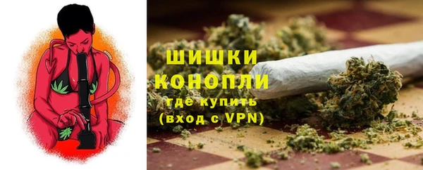 дживик Бронницы