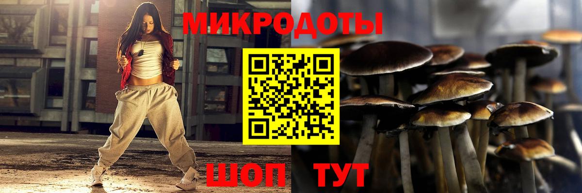 Галлюциногенные грибы Psilocybe Видное