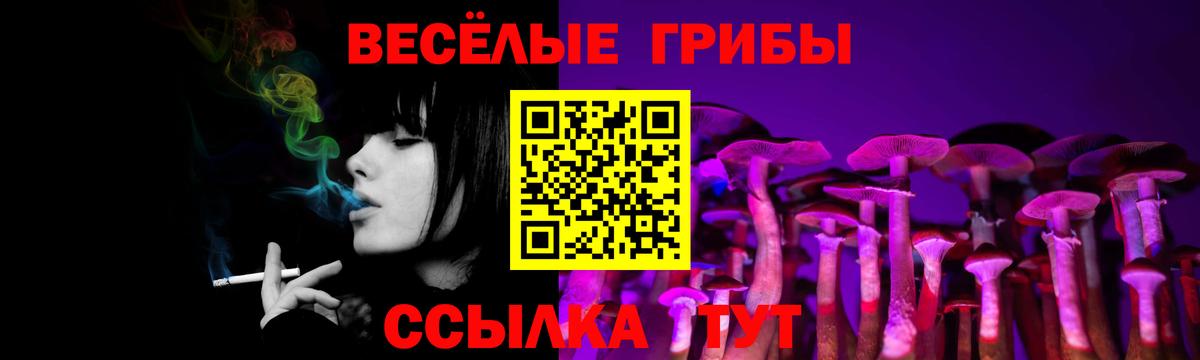 Псилоцибиновые грибы прущие грибы  Вход с VPN  Галлюциногенные грибы Psilocybe  Видное 